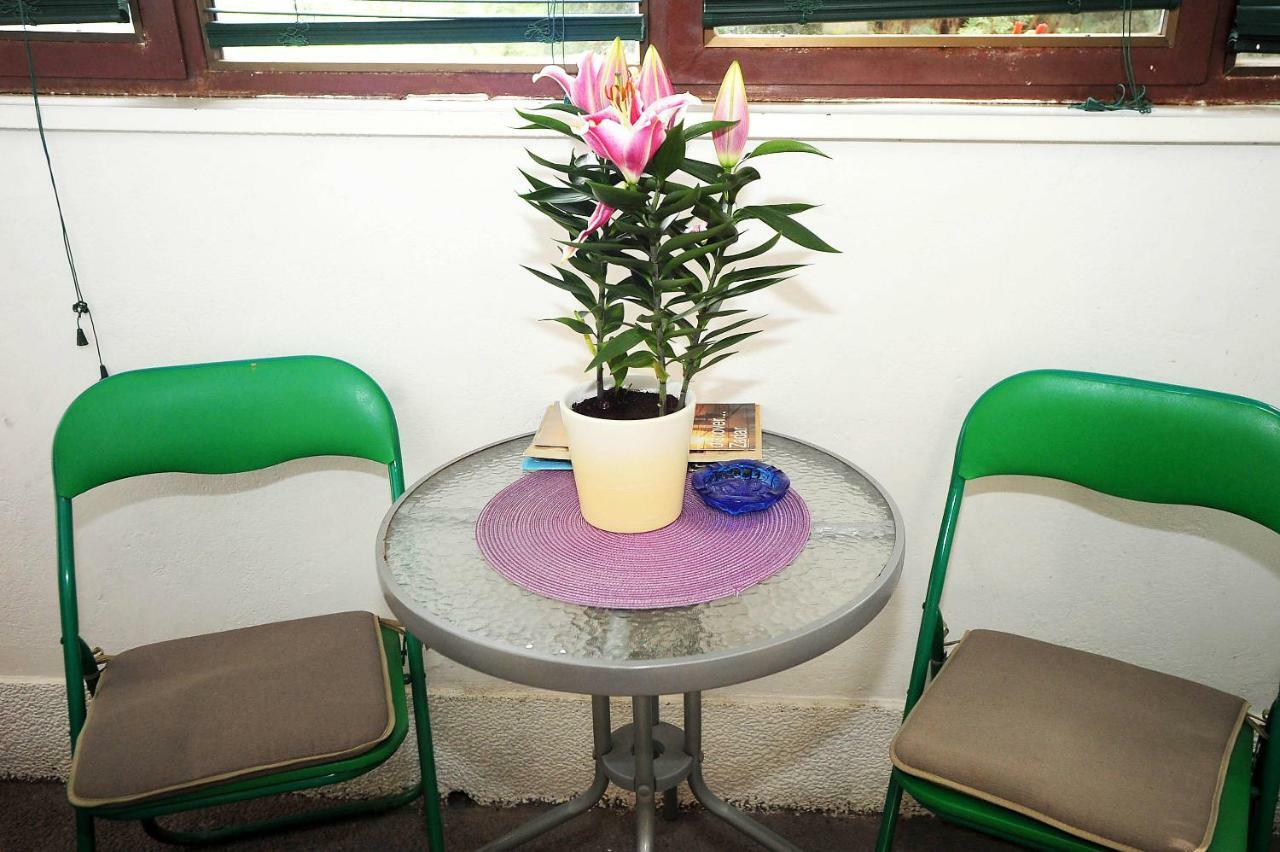 Vilma Apartamento Zadar